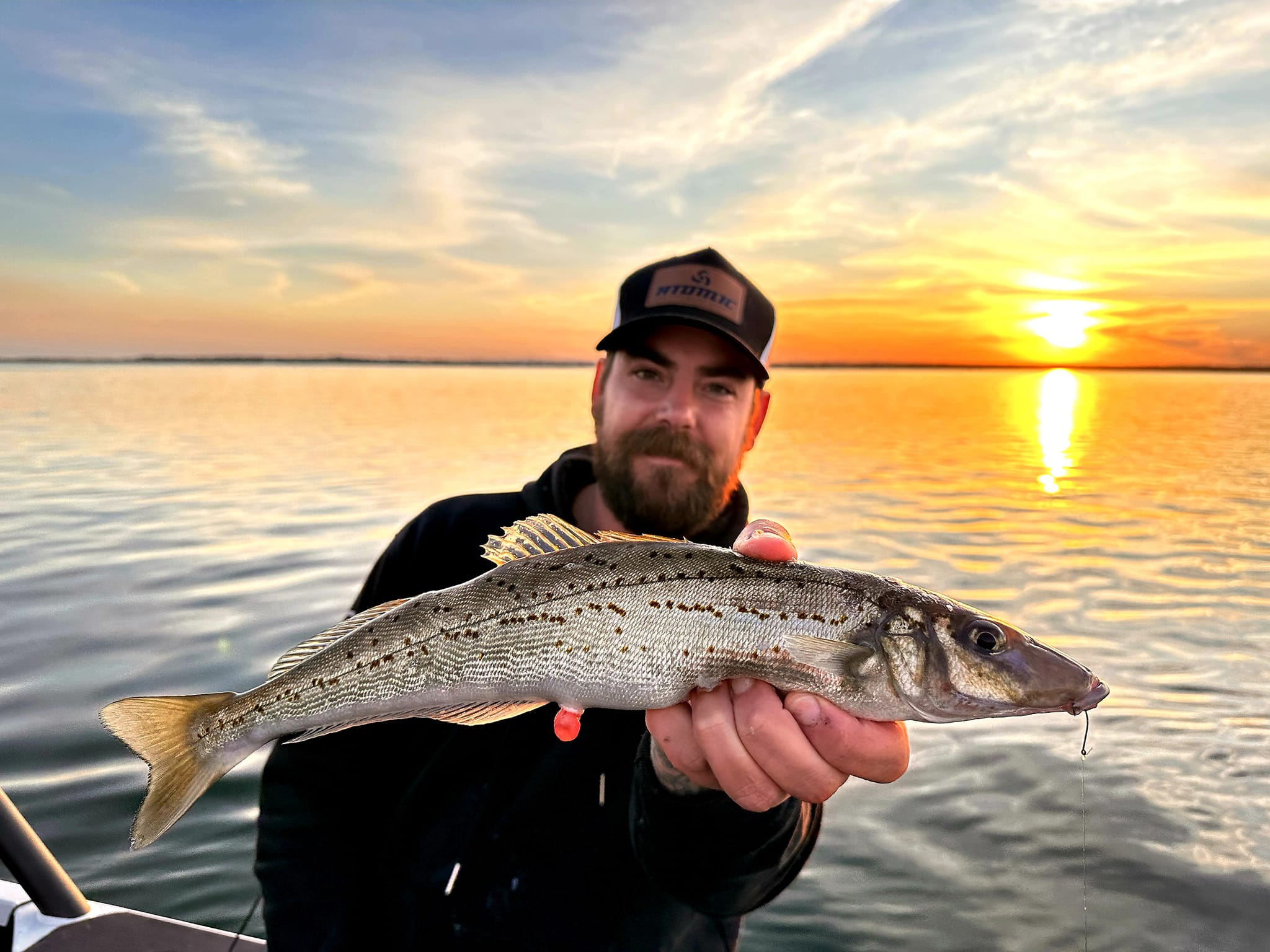 Gerry Morsman Death – Obituary: Beloved Husband Gerry Morsman Dies in Fatal Accident